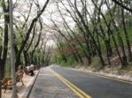 Namsan Park Namsan Park